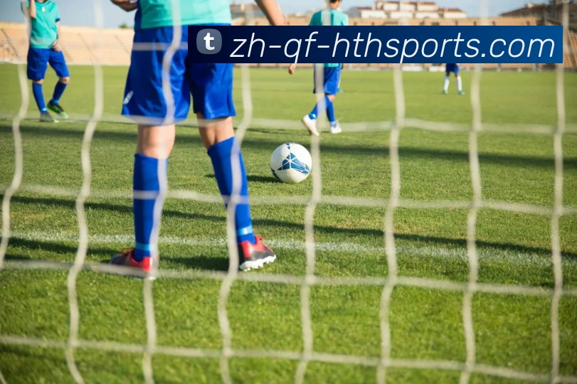 华体会登录入口平台生态图